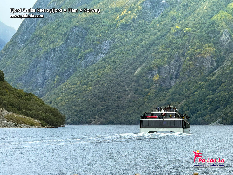 Fjord Cruise Naeroyfjord